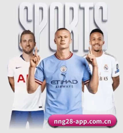 nng28-app.com.cn的故事 - 体育资讯内容服务