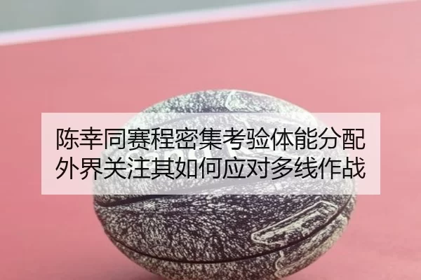 chen-xing-tong-sai-cheng-mi-ji-kao-yan-ti-neng-fen-pei-wai-jie-guan-zhu-qi-ru-he-ying-dui-duo-xian-zuo-zhan-2-161.jpg